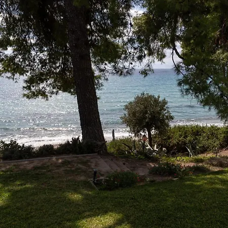 Halkiddiki-kassandra-mola Kalyva Traditional House In Front Of The Sea Holiday home *