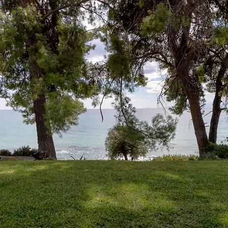 Halkiddiki-kassandra-mola Kalyva Traditional House In Front Of The Sea Μόλα Καλύβα