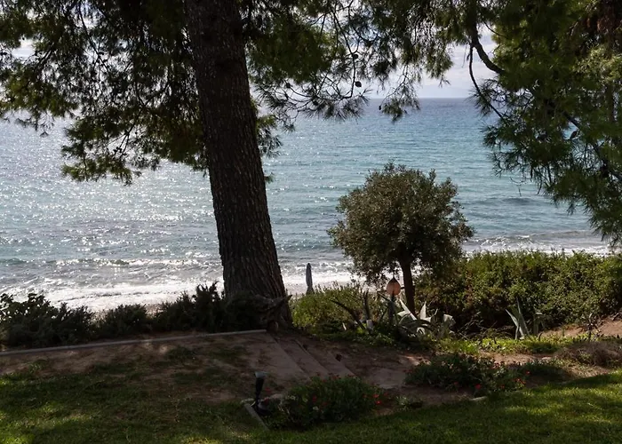 Halkiddiki-kassandra-mola Kalyva Traditional House In Front Of The Sea Tatil Evi *